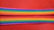 25mm pride rainbow polypropylene webbing